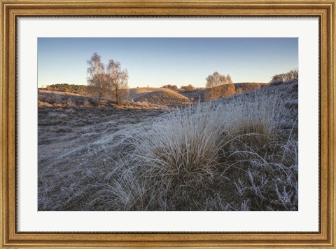 Framed Cold as Ice Print