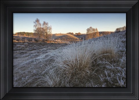 Framed Cold as Ice Print