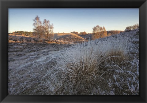 Framed Cold as Ice Print