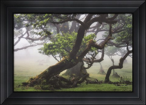 Framed Bent But Not Broken Print
