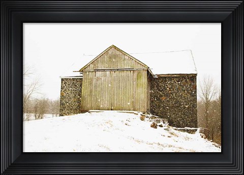 Framed Majestic in the Snow Print