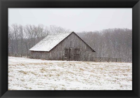 Framed First Snow Print