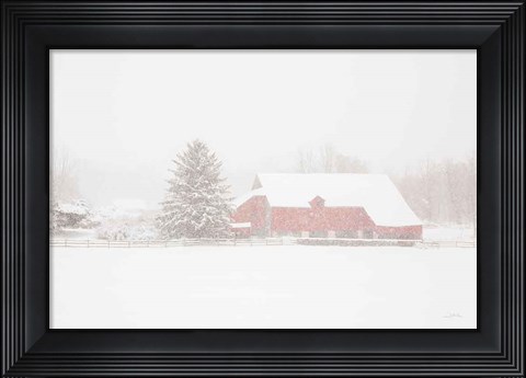 Framed Big Red Print