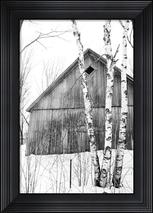 Framed Diamond Window Print