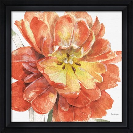 Framed Fall Meadow V Print