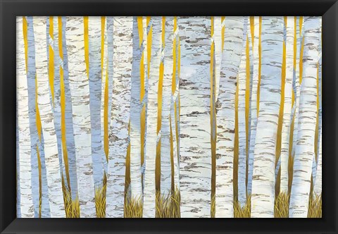 Framed Aspen Grove Print