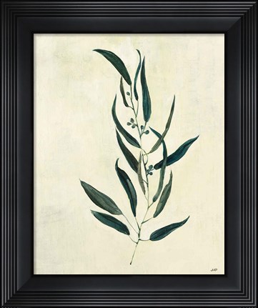 Framed Botanical Study VI Print