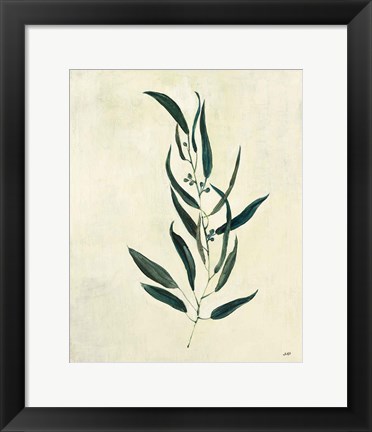 Framed Botanical Study VI Print