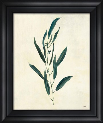 Framed Botanical Study V Print
