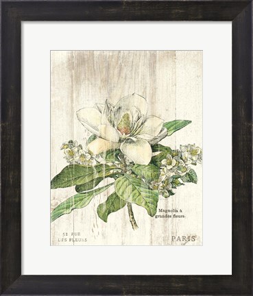 Framed Magnolia de Printemps v2 Print