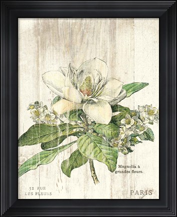 Framed Magnolia de Printemps v2 Print
