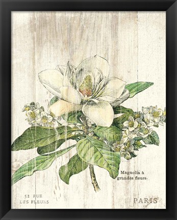 Framed Magnolia de Printemps v2 Print
