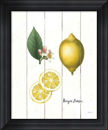 Framed Cottage Lemon II Print