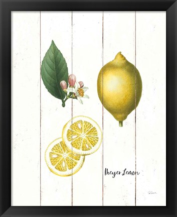 Framed Cottage Lemon II Print