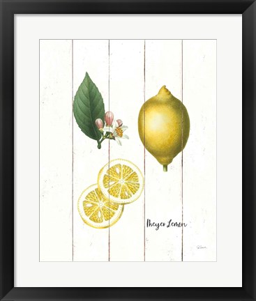 Framed Cottage Lemon II Print