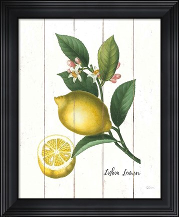 Framed Cottage Lemon I Print