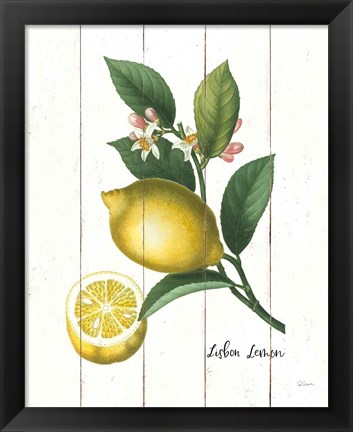 Framed Cottage Lemon I Print