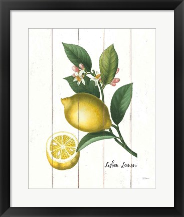 Framed Cottage Lemon I Print