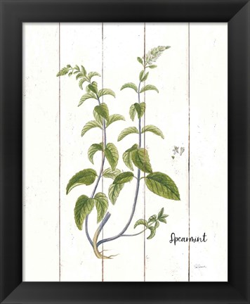 Framed Cottage Herbs IV Print