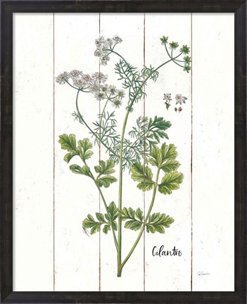Framed Cottage Herbs III Print