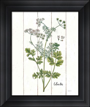 Framed Cottage Herbs III Print