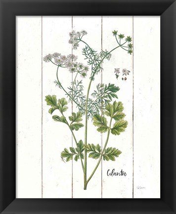 Framed Cottage Herbs III Print