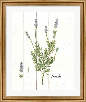Framed Cottage Herbs II Print