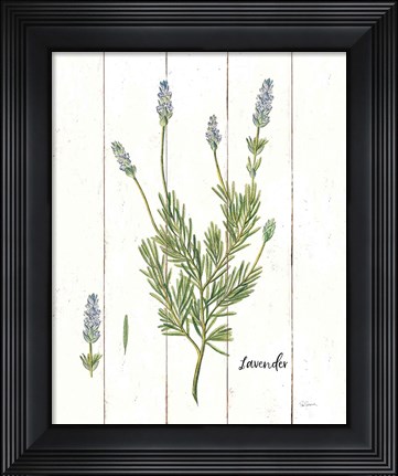 Framed Cottage Herbs II Print