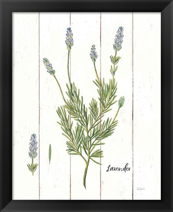 Framed Cottage Herbs II Print