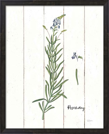Framed Cottage Herbs I Print