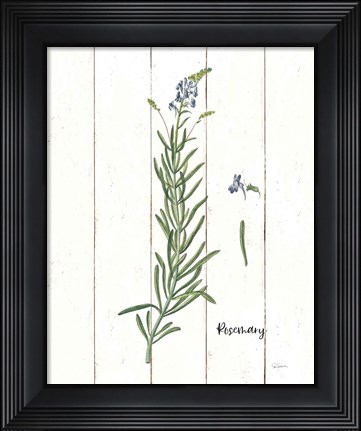 Framed Cottage Herbs I Print