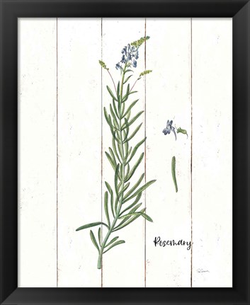 Framed Cottage Herbs I Print