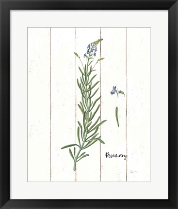Framed Cottage Herbs I Print