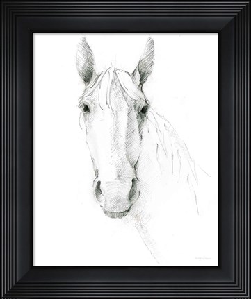 Framed Horse Sketch Print