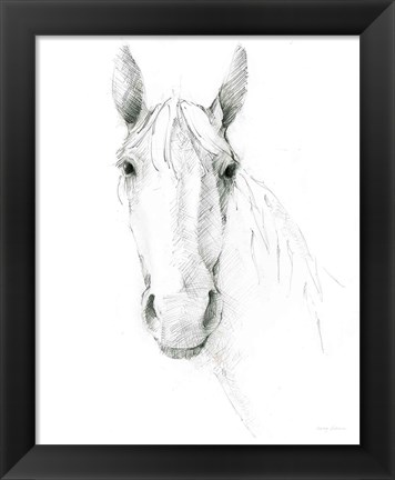 Framed Horse Sketch Print