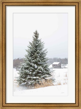Framed Perfect Pine Tree Print