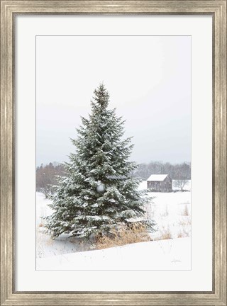 Framed Perfect Pine Tree Print
