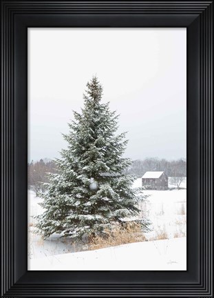 Framed Perfect Pine Tree Print