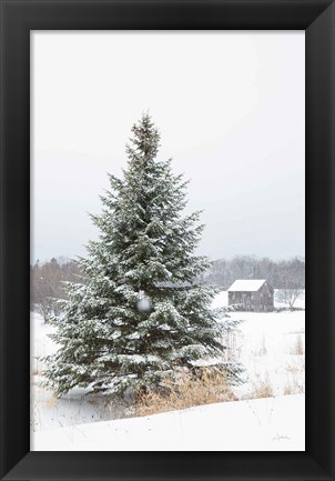 Framed Perfect Pine Tree Print