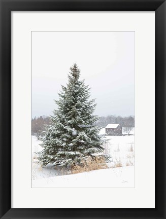 Framed Perfect Pine Tree Print