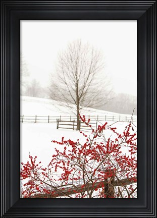 Framed Red on White Print