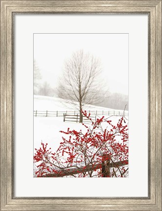 Framed Red on White Print