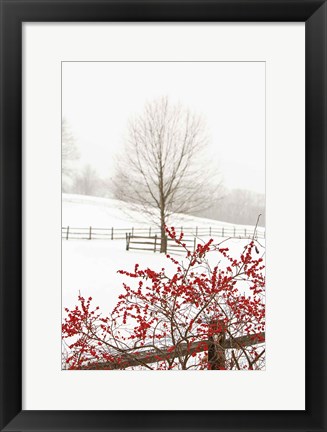 Framed Red on White Print