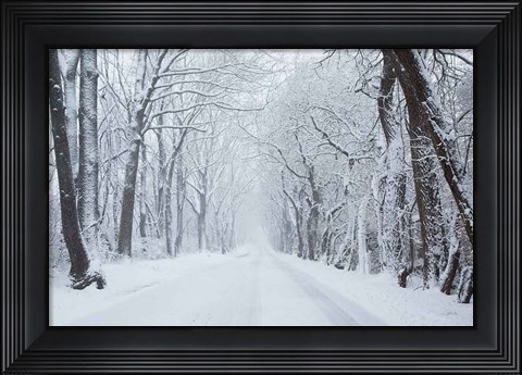 Framed Going Home Print