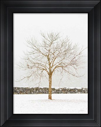 Framed By the Stone Wall Print