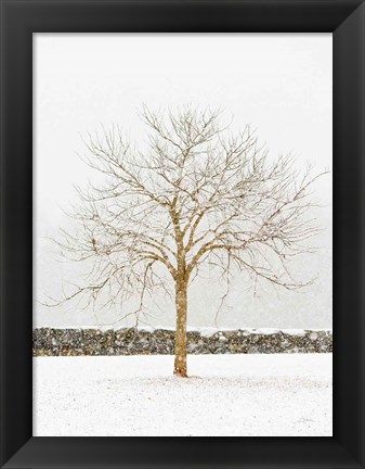 Framed By the Stone Wall Print