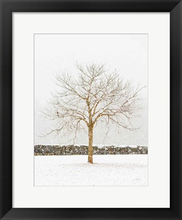 Framed By the Stone Wall Print