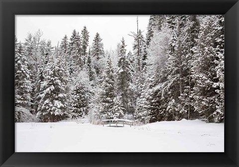 Framed Over the Bridge Print