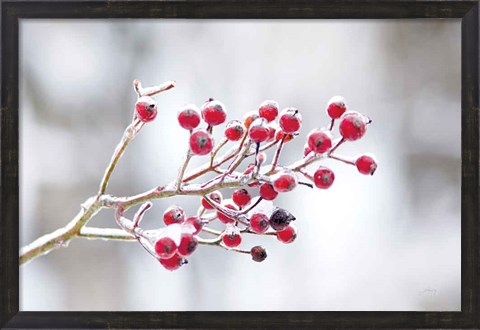 Framed Winter Berries I Print