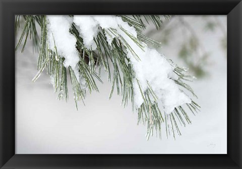 Framed Snowy Bough Print